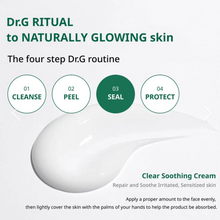 Load image into Gallery viewer, Dr.G Red Blemish Clear Soothing Cream 70ml