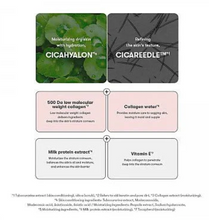 Load image into Gallery viewer, VT Collagen Reedle Shot 100