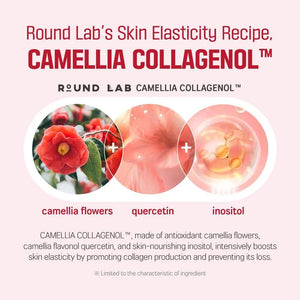 Round Lab Camellia Deep Collagen Firming Ampoule 30ml